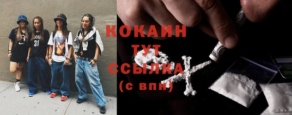 хмурый Алексин