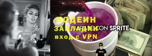 хмурый Алексин