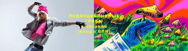 хмурый Алексин