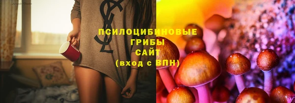 а пвп мука Алзамай